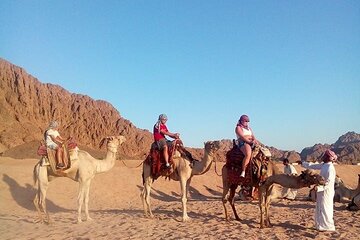 Unforgettable super safari 4x1 Bedouin Dinner,Camel Ride,Show,Quad Biking - Image 3