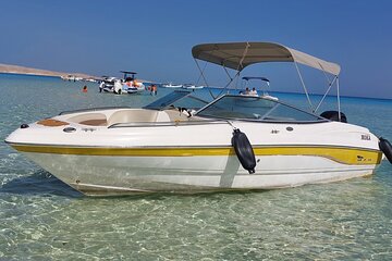 PRIVATE! | 4-hour Speed Boat Trip | Swim With Dolphins, Snorkeling & Island - Image 3