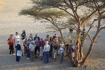 Hurghada Quad, Jeep, Camel and Buggy Safari with BBQ Dinner - Image 2