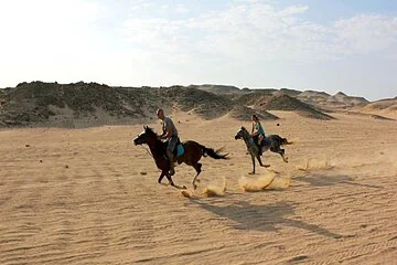 3 Hours Swimming By Horse on the Beach and Dessert in Hurghada - Image 4