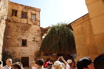 St. Catherine Monastery, Mousses Mountain Guided tour - Image 4