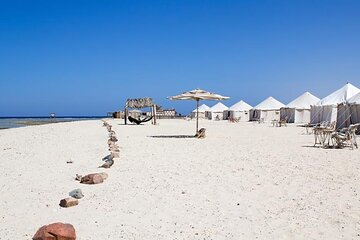 Private Day Trip to Abu Dabab with Lunch from Hurghada - Image 1