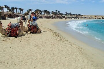 Private Day Trip to Abu Dabab with Lunch from Hurghada - Image 2