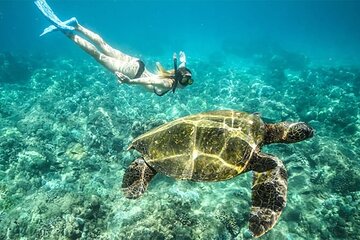 Private Day Trip to Abu Dabab with Lunch from Hurghada - Image 3