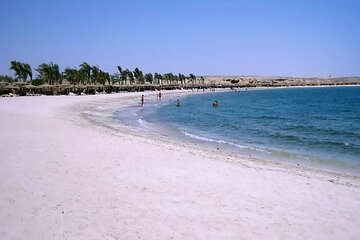 عرض كل الصور