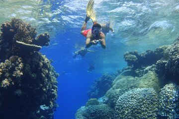 Coral Garden Snorkeling from Masa Alam - Image 1