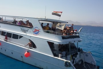 Tiran Island Full Day Sea Cruise with Snorkeling and Lunch - Image 2