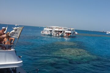 Tiran Island Full Day Sea Cruise with Snorkeling and Lunch - Image 3
