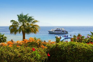 Tiran Island Full Day Sea Cruise with Snorkeling and Lunch - Image 4