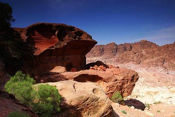 Petra Sightseeing 1 Day Tour From Sharm El Sheikh - Image 3