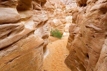 Colored Canyon and White Canyon Tour from Taba - Image 1