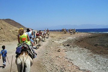 Ras Abu Galum & Blue Hole Snorkeling Tour from Taba - Image 4