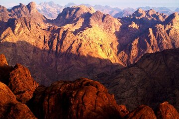 عرض كل الصور