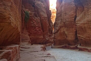 Petra Sightseeing 1 day Tour from Sharm el Sheikh - Image 2