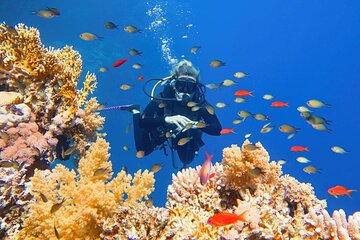 Private Snorkeling day Trip with Paradise Island or Orange Bay - Image 1