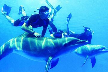 Private Snorkeling day Trip with Paradise Island or Orange Bay - Image 2