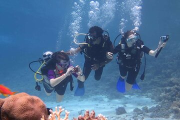 Private Snorkeling day Trip with Paradise Island or Orange Bay - Image 3