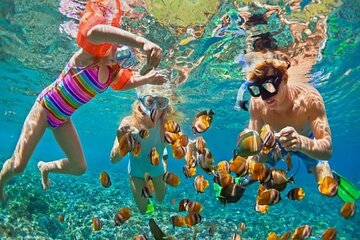 Private Snorkeling day Trip with Paradise Island or Orange Bay - Image 4