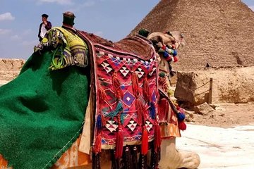 Giza Payrimds,Dahshur Sakkara and Memphis included Camel Ride. - Image 3