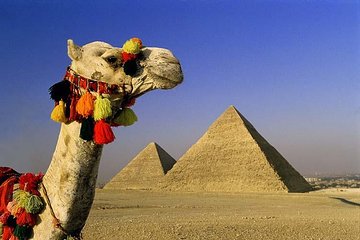 Private Tour: Cairo Day Trip from Sharm El Sheikh by private coach - Image 3