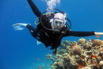 Excursion to Tiran Island by boat - Image 1