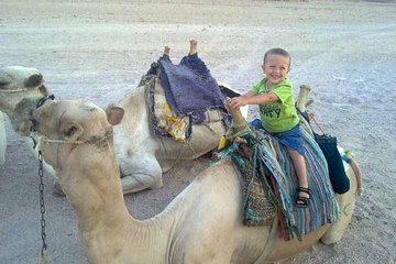 5-hour safari with quad biking & dinner at the Bedouin Hurghada - Image 2