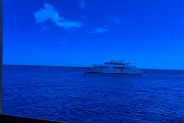 Trip on a glass bottom boat from Hurghada - Image 4