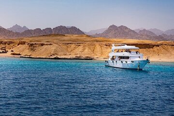 Ras Mohamed and White Island Snorkeling & Diving-Sharm El Sheikh - Image 1
