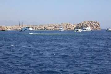 Ras Mohamed and White Island Snorkeling & Diving-Sharm El Sheikh - Image 3