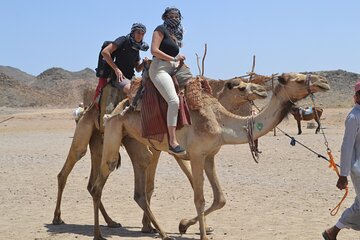 Super Safari ATV Quad, Bedouin Dinner & Camel - Sharm El Sheikh - Image 2
