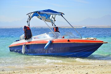 Dolphins house Snorkeling Trip By a Private Speed Boat - El Gouna - Image 1