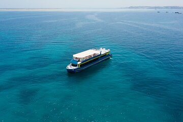Conquest Semi-Submarine , Snorkeling & Turkish Bath - Hurghada - Image 3