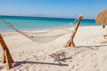 Amazing Hula Hula Island Trip & Parasailing & Lunch - Hurghada