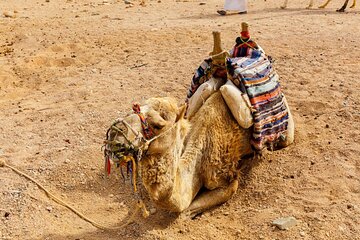 Safari Jeep, Star Gazing, Bedouin Dinner & Camel Ride - Hurghada - Image 2