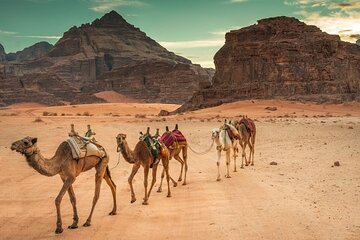 Safari Jeep, Star Gazing, Bedouin Dinner & Camel Ride - Hurghada - Image 3