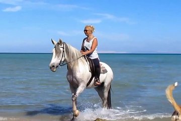 Horse Riding Tour Two Hours Sun & Sea With Transfer - Hurghada - Image 2