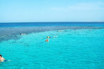 Marsa Mubarak Snorkeling Trip With Transfer & Lunch – Marsa Alam - Image 1