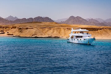 Tiran Island Full Day Snorkeling Sea trip, Lunch With Transfer - Sharm El Sheikh - Image 1