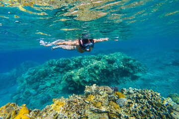 Tiran Island Full Day Snorkeling Sea trip, Lunch With Transfer - Sharm El Sheikh - Image 2