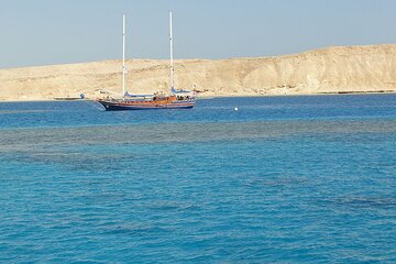 Tiran Island Full Day Snorkeling Sea trip, Lunch With Transfer - Sharm El Sheikh - Image 3