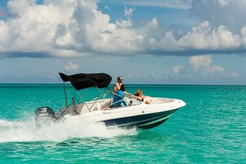 Semi PRIVATE Speedboat Swim With Dolphins Sea Trip - Hurghada - Image 1