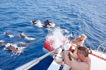 Semi PRIVATE Speedboat Swim With Dolphins Sea Trip - Hurghada - Image 3