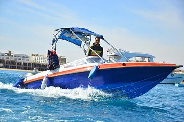 Semi PRIVATE Speedboat Swim With Dolphins Sea Trip - Hurghada - Image 4