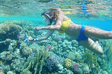 24 Hours Private Boat Snorkeling sea trip and Fishing With equipment - Hurghada - Image 3