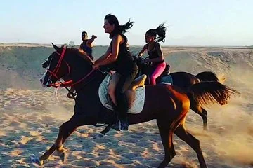 Horse Riding One Hour at Desert With Transfer - Sharm El Sheikh - Image 1
