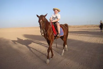 Horse Riding One Hour at Desert With Transfer - Sharm El Sheikh - Image 2