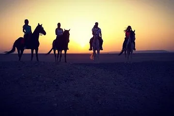 Horse Riding One Hour at Desert With Transfer - Sharm El Sheikh - Image 3