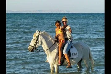 Посмотреть все фотографии