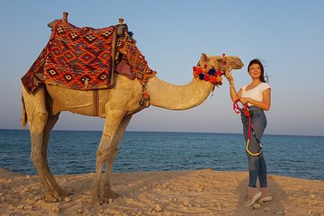 2 hours Camel Riding at Amazing Desert & Sea With Transfer - Hurghada - Image 1
