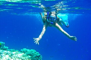 Magawish Island Snorkeling Boat trip Adventure & Lunch - Hurghada - Image 3